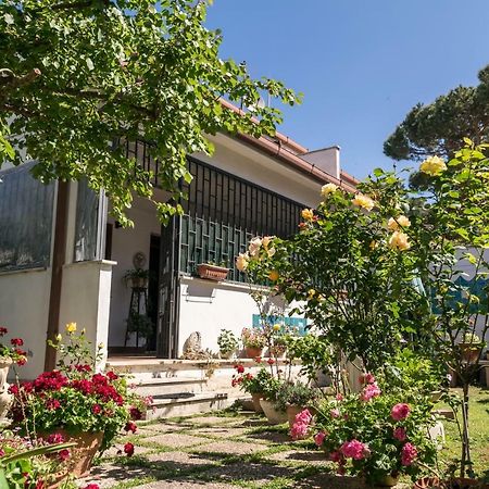 Alloggio Per Uso Turistico Vila Lido dei Pini Exterior foto