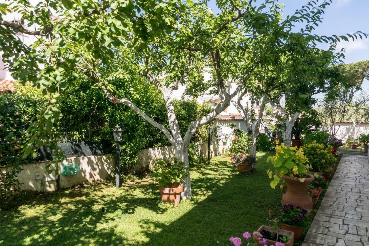 Alloggio Per Uso Turistico Vila Lido dei Pini Exterior foto